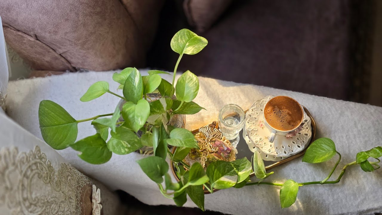 صباح الورد🌸