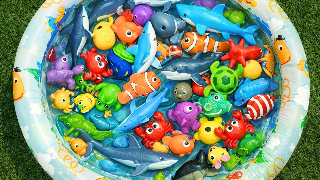 Discover Sea Animals 🐠 | Learn Names & Fun Facts with Ocean Toys