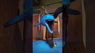 #TÜRKİYE #KONYA #BİLİM MERKEZİ # 9.3 DEPREM SIMILATÖRU