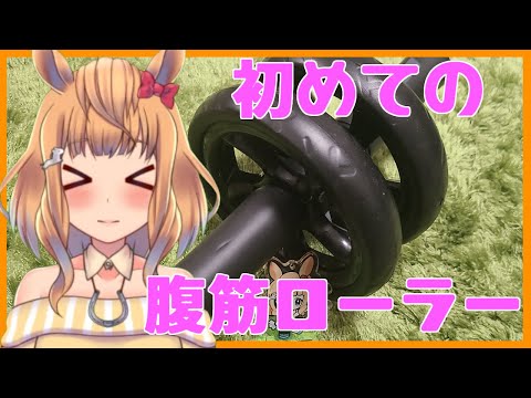 【筋トレ】初めての腹筋ローラー【Vtuber的射まくり】