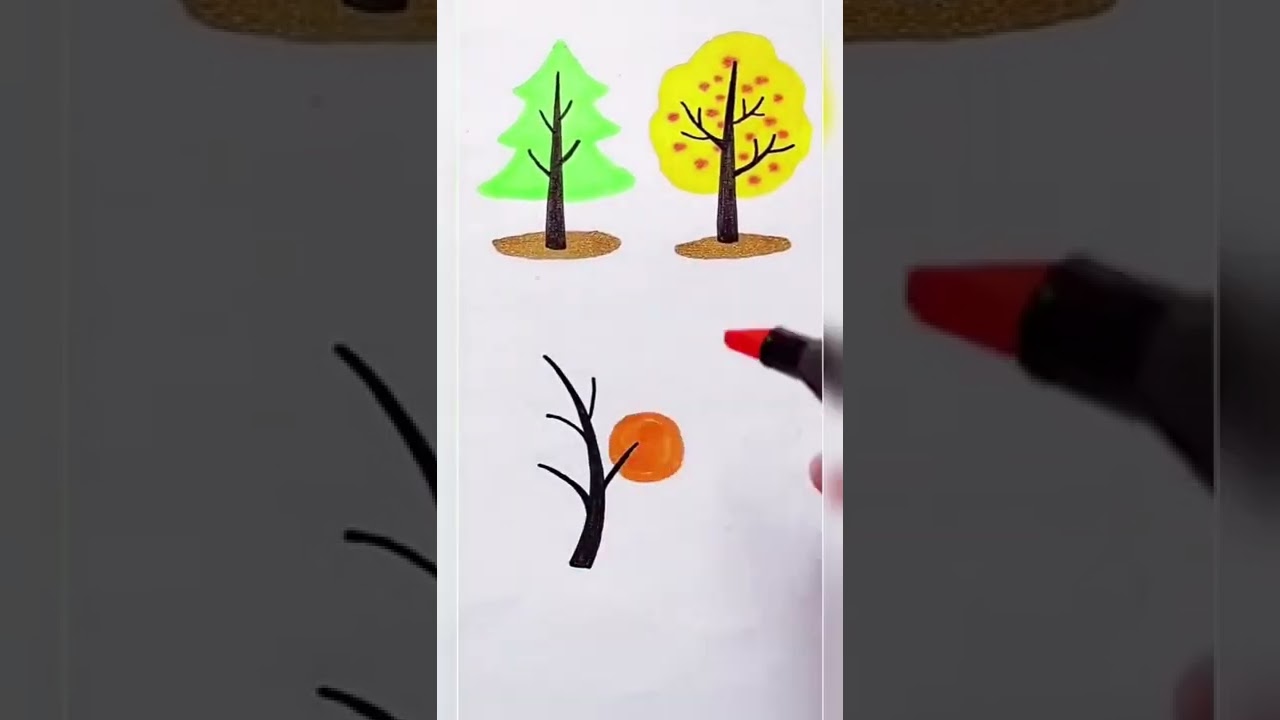 Different types of Trees, different colours, different seasons 