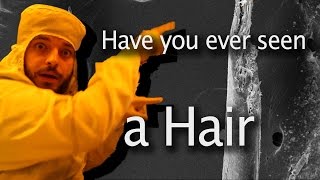 What does split hair or hairs look like seen under the electron microscope - Have you ever seen #3