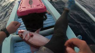 Fishing for ruby snapper with light jigging tackle