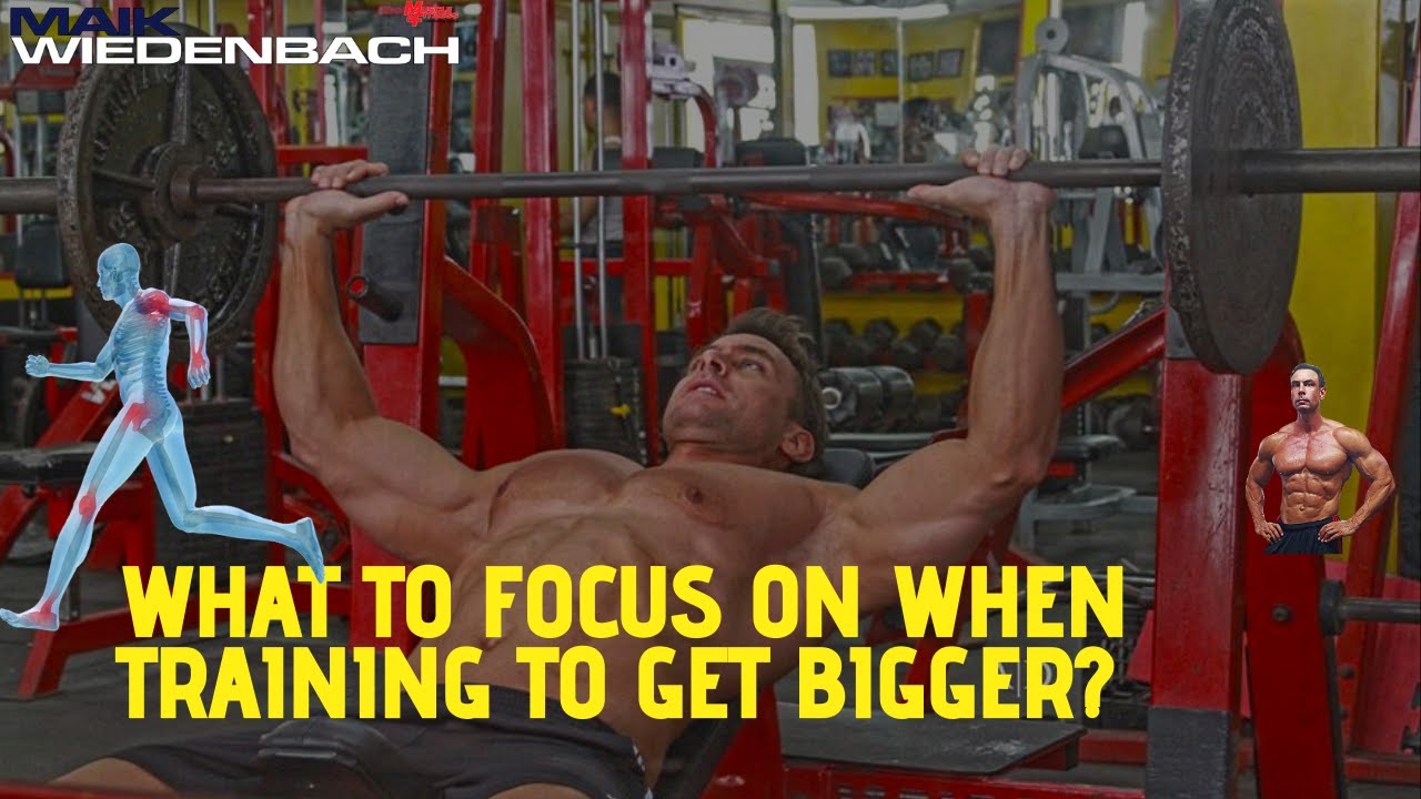 What to Focus on When Training to get  Bigger!