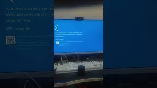 Is That Cant Understand Mm2 From Tiktok Scream Has Bsod