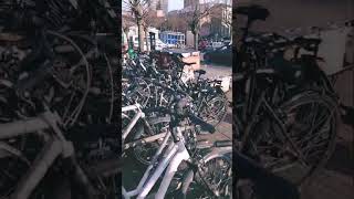 #alphaarmy #kollegah #ruhrgebiet #dortmund #strassenbande