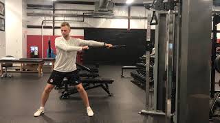 Wide Stance Anti Rotation Chop (IP)