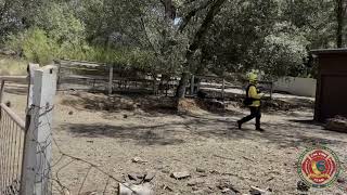 DINS - Damage Inspection Specialist - Thompson Fire
