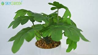 Artificial Plants With White Linear Pot | SN-4