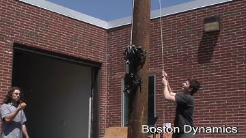 RiSE V3 Climbing Robot, 21 cm/s