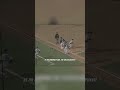 Throws That Prove Ichiro Suzuki Had a Legendary Arm