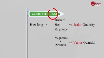 Vector: scalar and vector quantities