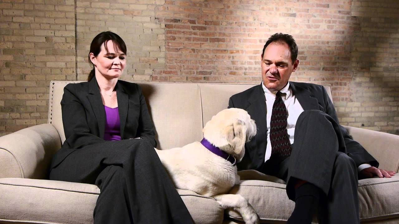 Estate Planning for Pets