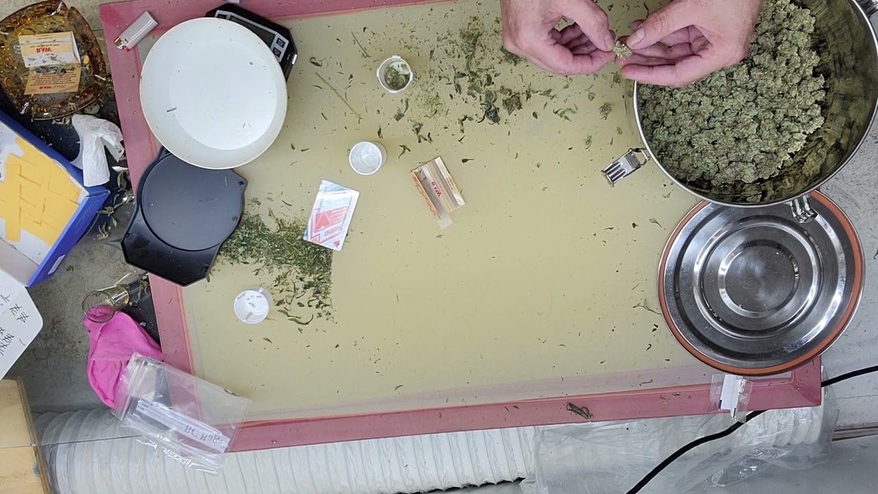 joint rolling with the Garden Sage - lol