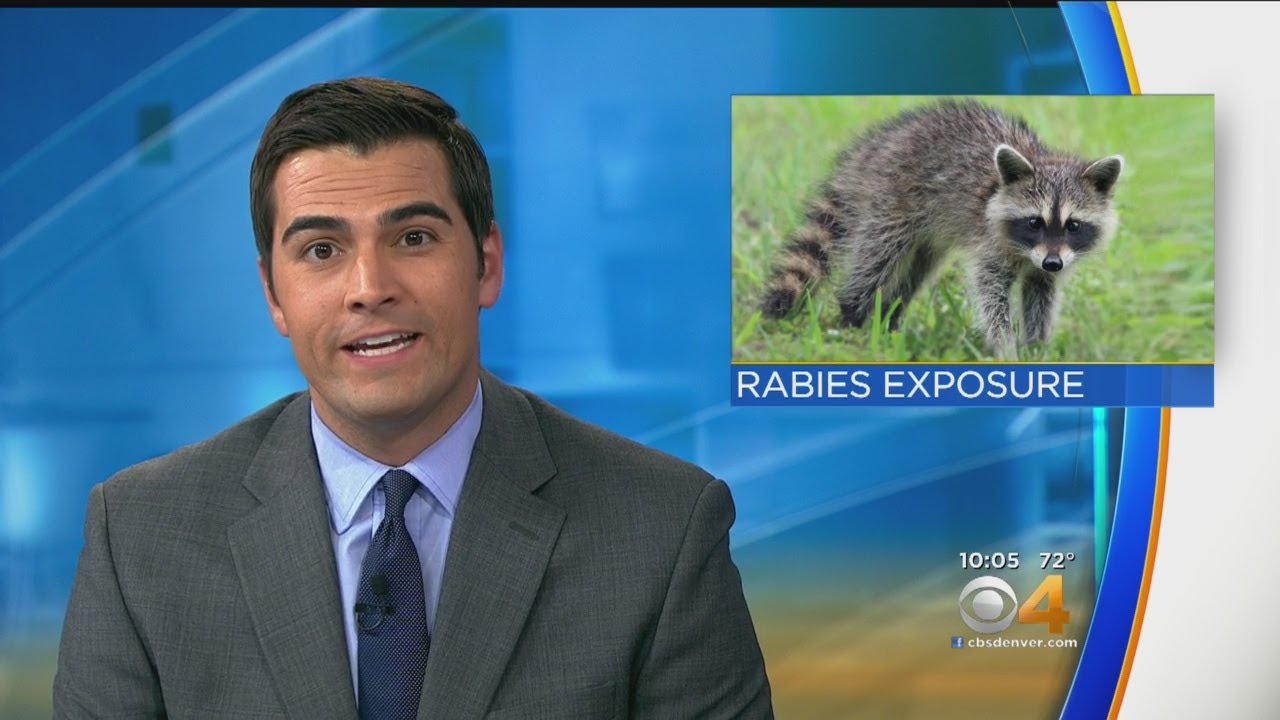 21 people exposed to rabies after a woman took in an abandoned baby raccoon