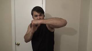 2 - The 8 Basic Punches