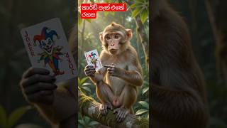 කාඩ් පැක් එකේ තියෙන පුදුම රහස##magicianmonkey, #cardtricks #surprisingfacts