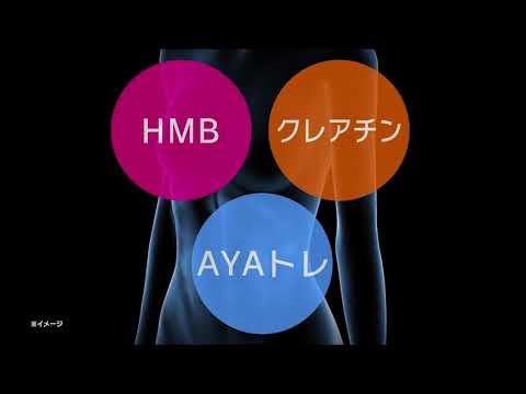 トリプルビーBBB AYA