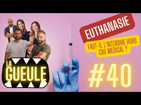 Vidéo: À la limite de l'euthanasie, ce chiot naguère sans espoir a une deuxième chance!