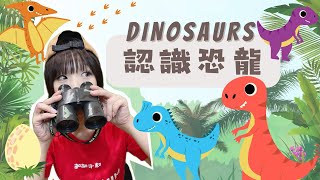 【找恐龍蛋囉!】喜歡恐龍的小朋友一起來學英文吧 | Dinosaurs for Kids | 兒美教學