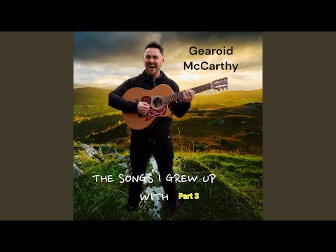 The Irish Pub Song