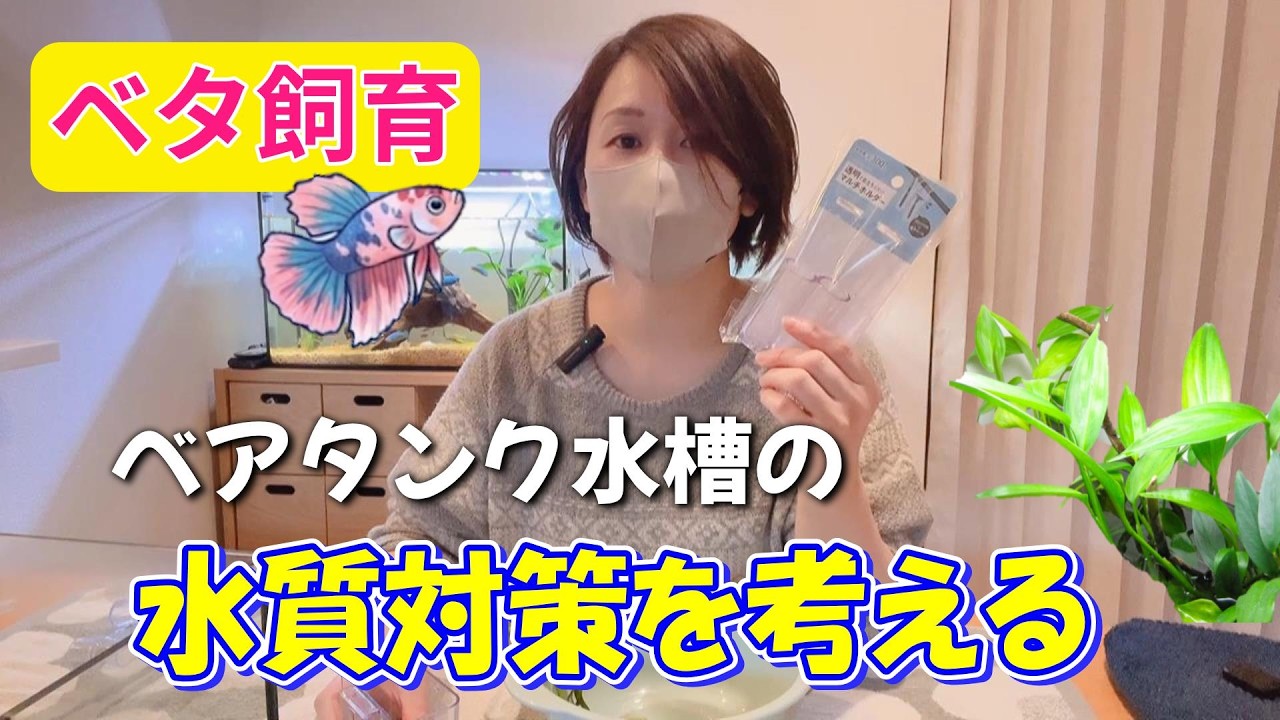 【ベタ水槽】水草で水質は変わる？