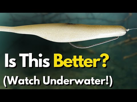 How Does A Fluke Work