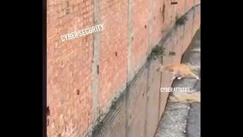 Are you sure that your cybersecurity posture is not the same?