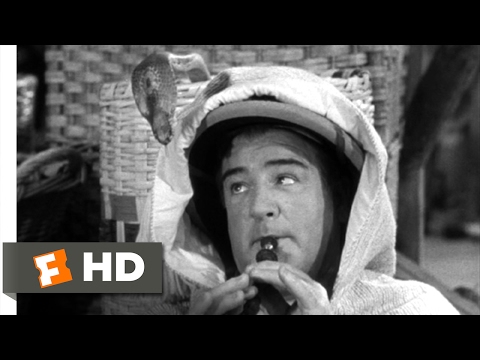 Abbott and Costello Meet the Mummy (1955) - Snake Charmer Scene (2/10) | Movieclips