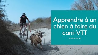 Dog Runner - Accessoire cani-vtt pour faire du vélo avec son chien. Tout  pour le sport du chien . Morin fabricant distributeur en accessoires pour  animaux.