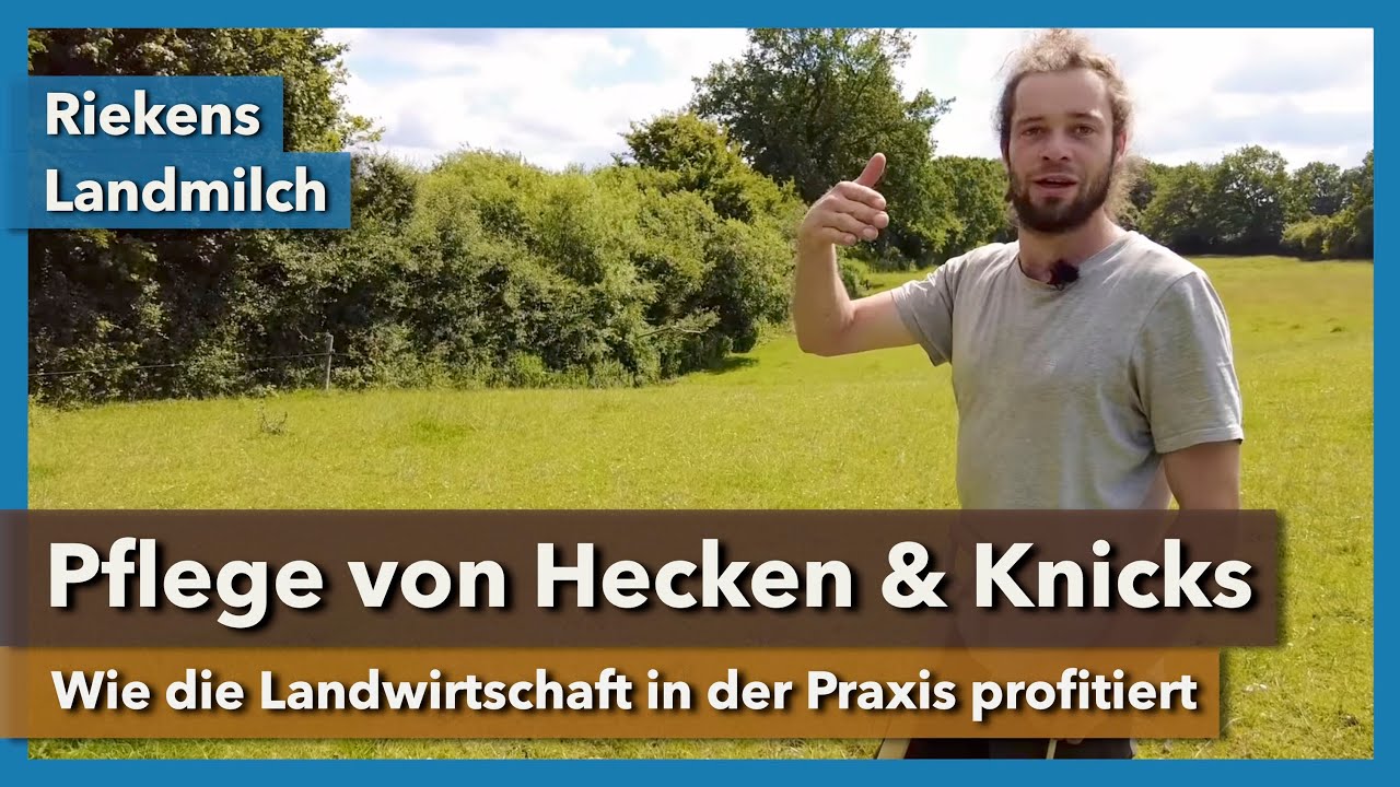 Pflege von Hecken und Knicks in der Landwirtschaft | Rieckens Landmilch | 2024 | Teil 5