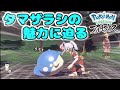 タマザラシを愛してやまない男、出会って即狂う【ごまちゃん切りぬき】