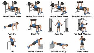 Every Chest Exercise Explained