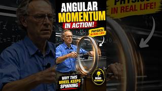 Why Doesn’t This Spinning Wheel Fall? #science #physicsshorts #sciencefacts #walterlewin