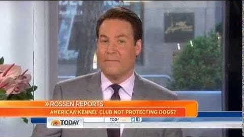 TODAY SHOW- AKC Registered PUPPY MILL Puppy - PET STORE Torture Sales - USDA BREEDERS