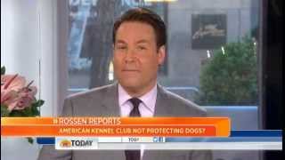 TODAY SHOW- AKC Registered PUPPY MILL Puppy - PET STORE Torture Sales - USDA BREEDERS