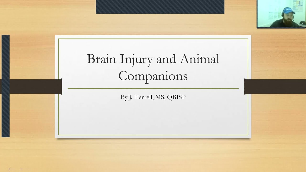 Brain Injury Discussion: Episode 52, Brain Injury and Animal Companions