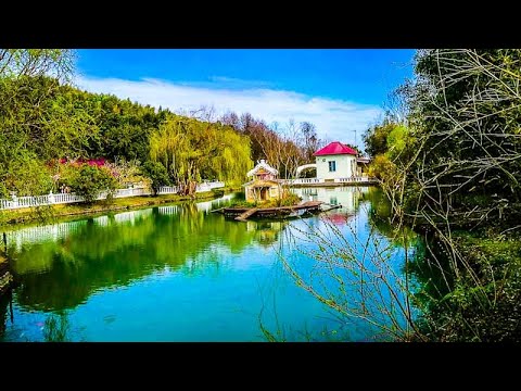 Адлер. Парк Южные Культуры. #сочи#трэвэл#природа
