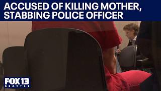 Renton, WA man accused of killing mother, stabbing officer