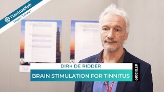 Dirk de Ridder on Brain Stimulation for Tinnitus — #TRI2019
