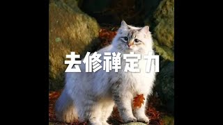 201908 去修禅定力51342