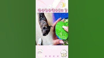 Part 75  Like,comment,subscribe! #Youtube #pov #shorts#StoryTime