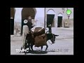 Travel To Touggourt رحلة في تقرت 1953 Travel To Touggourt رحلة في تقرت 1953