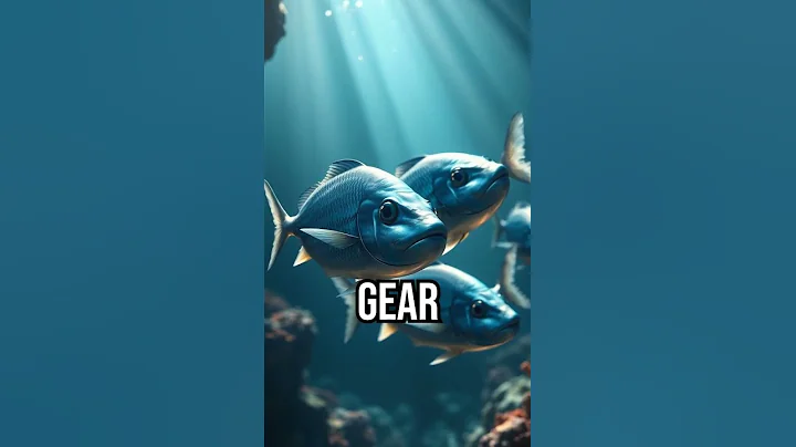 Dancing Fish Comeback