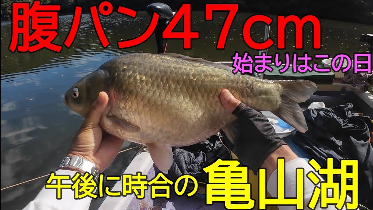 亀山湖・島裏②　へら鮒釣り　2025年10月