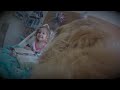 Pet Therapy Visits at a Pediatric Hospital