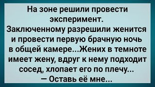 Первая Брачная Ночь на Зоне! Сборник Свежих Анекдотов! Юмор!.