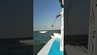 সাগরের মাঝখানে একজন আল্লাহর অলির মাজার শরীফ আল্লাহর অলি দের নিরাপত্তার দায়িত্ব আল্লাহ নিয়েছেন #মাজার