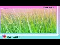 నా తోడు నీవే దేవా| lyrics | latest telugu christian song