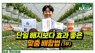 [후기] 딸기 상토, 코코피트 100%, 펄라이트까지! 현장 상담으로 알아보는 진짜 차이점